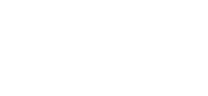 branding + web development | Deloitte Digital